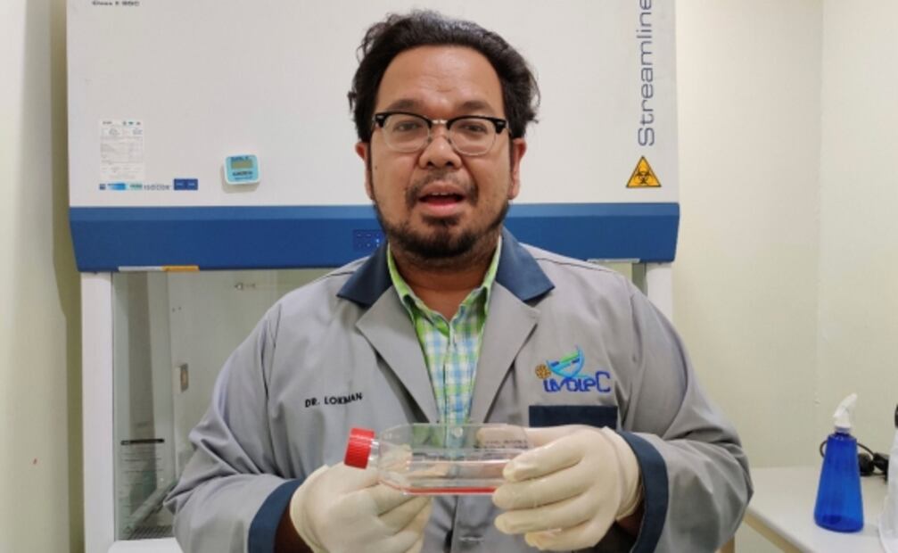 Científicos buscan clonar al rinoceronte de Sumatra extinto en Malasia