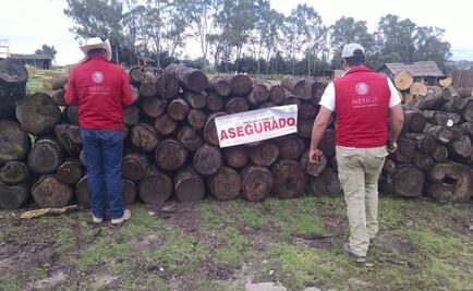 Profepa clausura aserradero en Tlaxcala