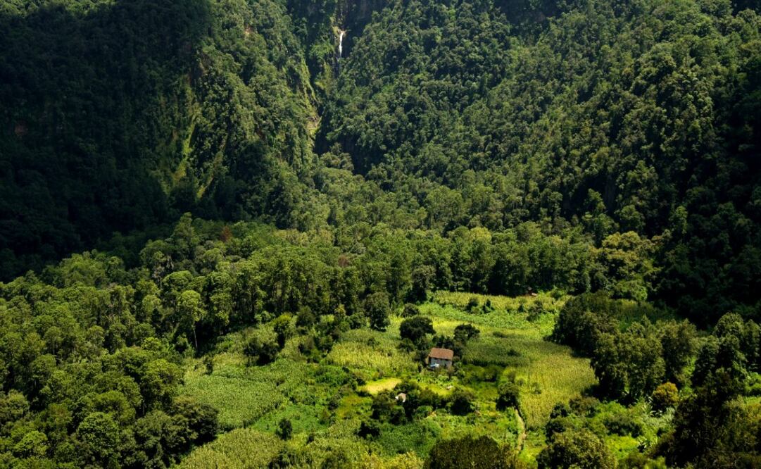 En medio del bosque se encuentran Cabañas Capulina y muy cerca las aguas termales. (Foto: Zacatlán Turismo de Puebla)