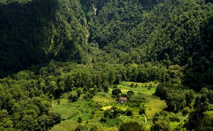 Vacaciones por menos de 2 mil pesos