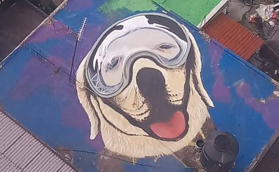 Los murales son visibles desde la Línea 2 del Cablebús. Foto: Especial.