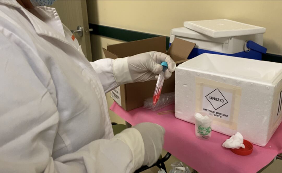 Foto: Archivo / EL UNIVERSAL