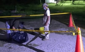 Denuncian nuevo caso de crueldad animal en Yucatán; activistas exigen justicia por muerte de un perrito a machetazos