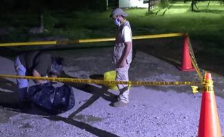 Denuncian nuevo caso de crueldad animal en Yucatán; activistas exigen justicia por muerte de un perrito a machetazos