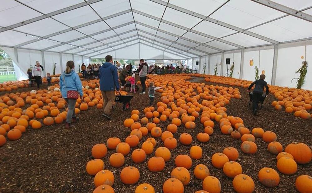 Foto: Sunnyfields Farm