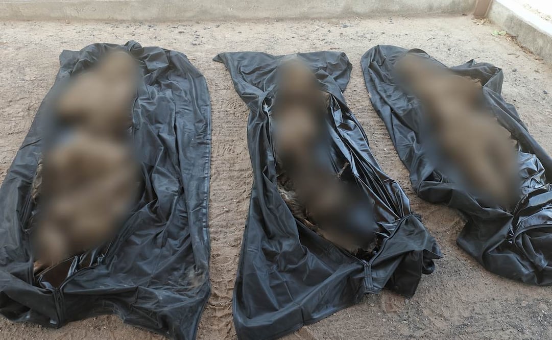 Hallan tres osamentas en tumbas de panteones de Miguel Alemán, Tamaulipas; es una situación alarmante para familias de desaparecidos: colectivo.
Foto: Especial.