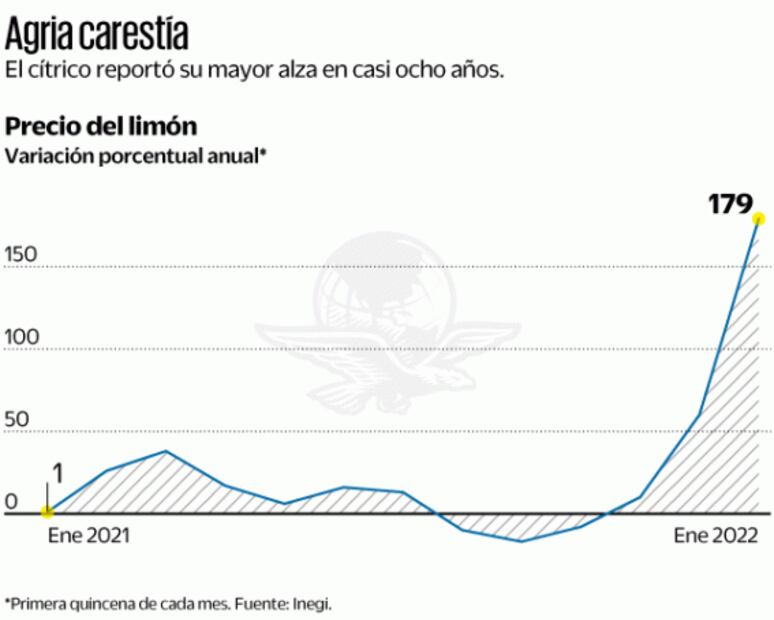 Crimen, detrás de alzas de precios de limón y aguacate: amenazan y extorsionan a productores