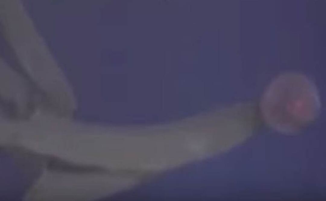 Solo ha sido vista 115 veces en el último siglo. Foto: Captura