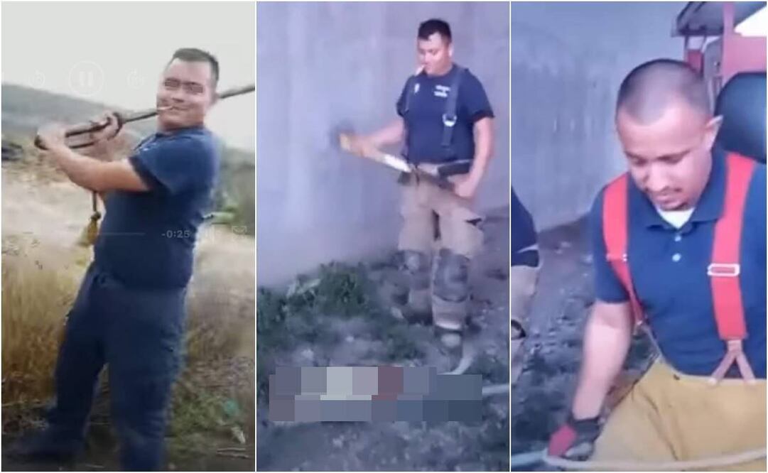 Bomberos asesinan a golpes a perritos en Monclova, Coahuila. Foto: Especial.