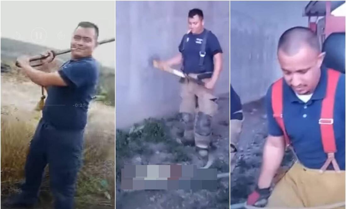 Bomberos asesinan a golpes a perritos en Monclova, Coahuila. Foto: Especial.