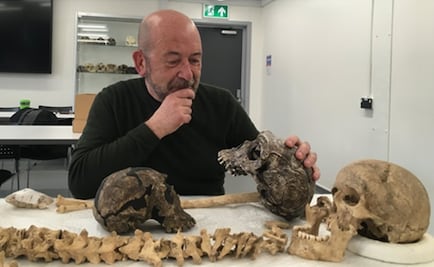 Qué papel tuvieron las relaciones sociales en la evolución del rostro humano