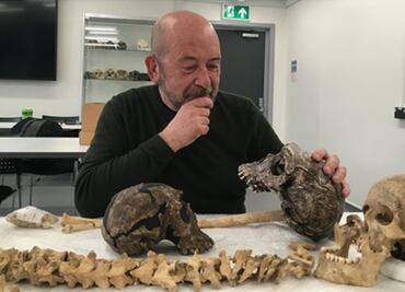 Qué papel tuvieron las relaciones sociales en la evolución del rostro humano