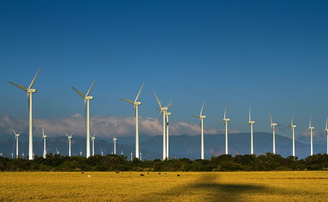 Foto: Cortesía Acciona