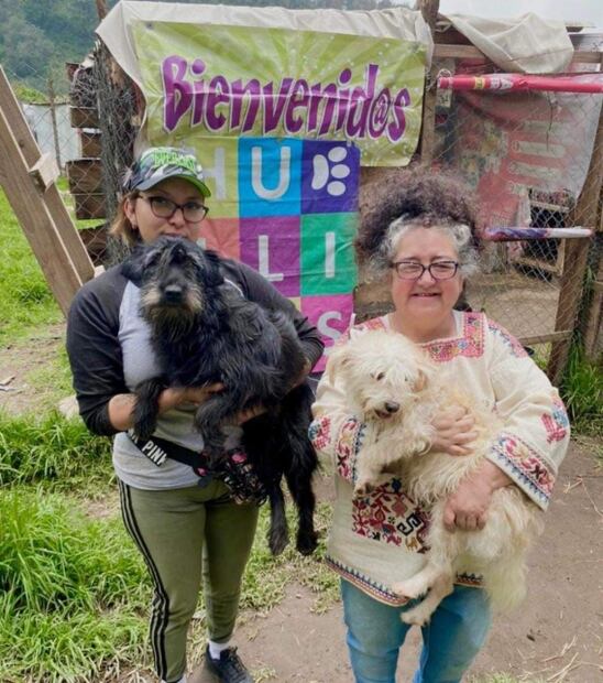 La perrita Deysi sobrevivió al derrumbe del Chiquihuite, su dueña prometió volver por ella pero sigue esperándola
