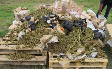 PGR incinera 196 kilos de droga en Veracruz