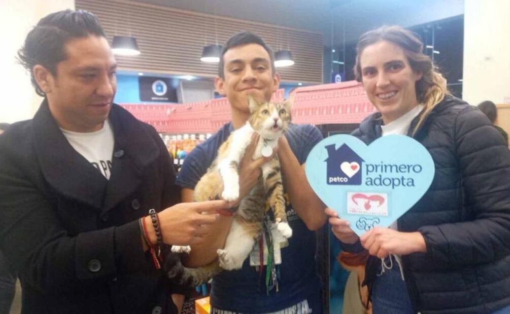 La Asociación Pocas Pulgas realiza campañas de esterilización gratuitas y también otra a bajo costo, ferias de adopción, así como, jornadas de salud pública. Foto: Especial