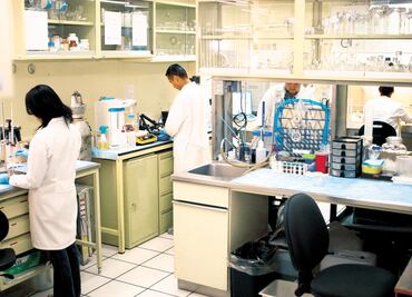 Buscan tratar cáncer a través de los colores