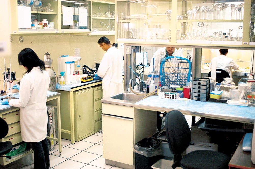 La idea es que el diseño de sistemas luminiscentes biocompatibles sea capaz de transformar la radiación infrarroja en radiación visible. (FOTO: Archivo/ EL UNIVERSAL)