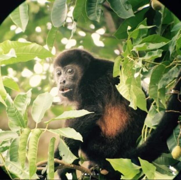 Salma Hayek comparte foto en la regadera