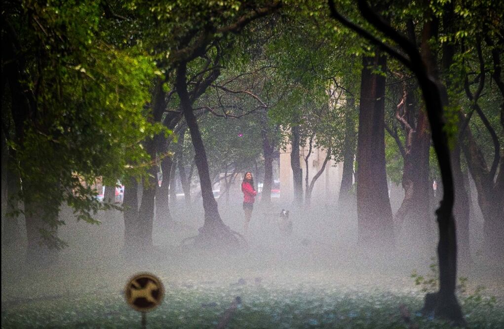 Foto: Germán Espinosa/EL UNIVERSAL