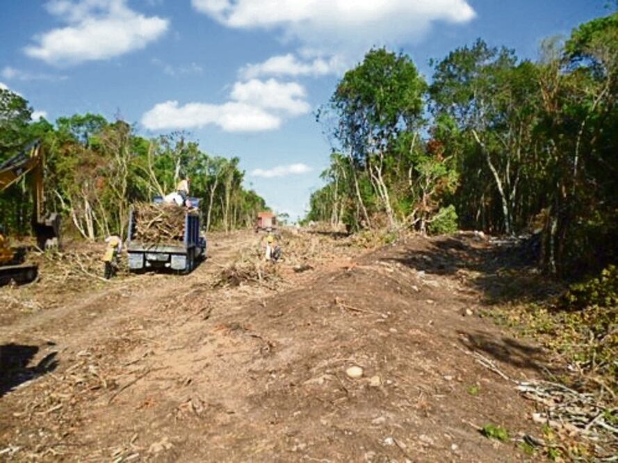 El arqueólogo Fernando Cortés de Brasdefer con uno de sus descubrimentos. Además, fotos que integran la evidencia de la destrucción de vestigios en la zona del Tramo 7 del Tren Maya. Foto: Juan Sandoval / El Universal