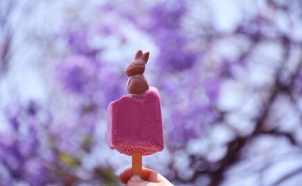 "Conejo Jacarandoso" la paleta helada inspirada en las Jacarandas