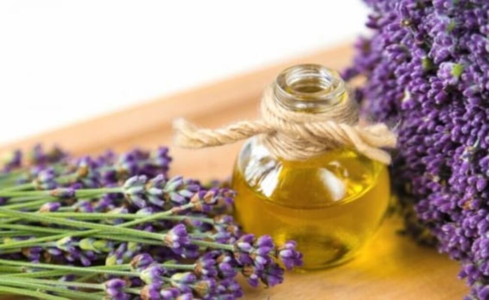 10 actividades y recorridos para este puente, cerca de CDMX