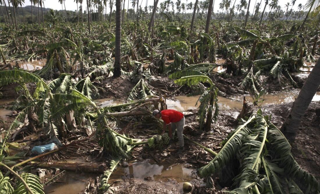 (Foto: Archivo EL UNIVERSAL)