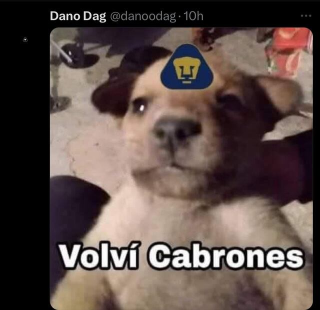 Los MEJORES MEMES del triunfo de Pumas
