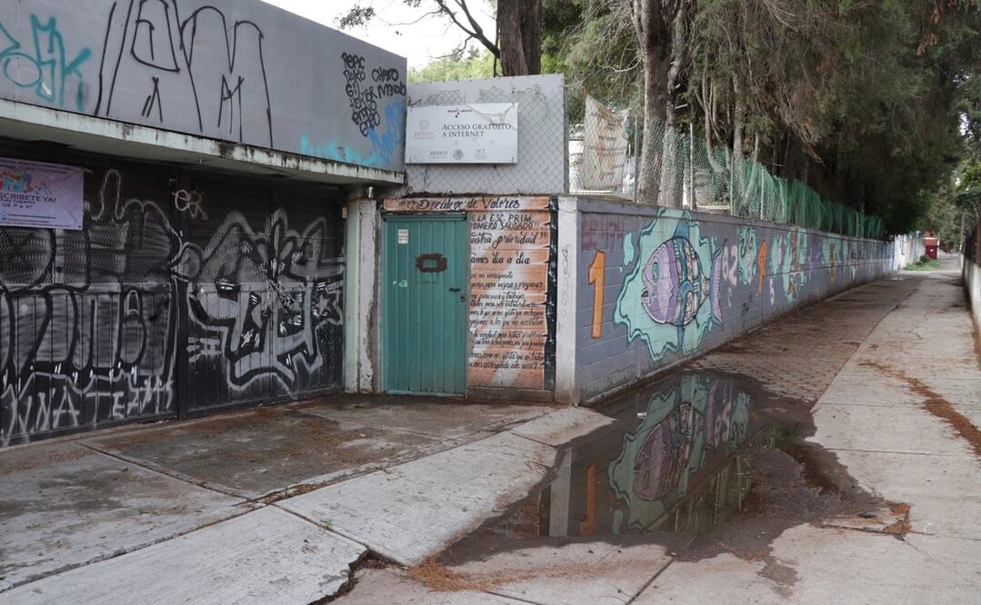 Foto: Tristan Velázquez