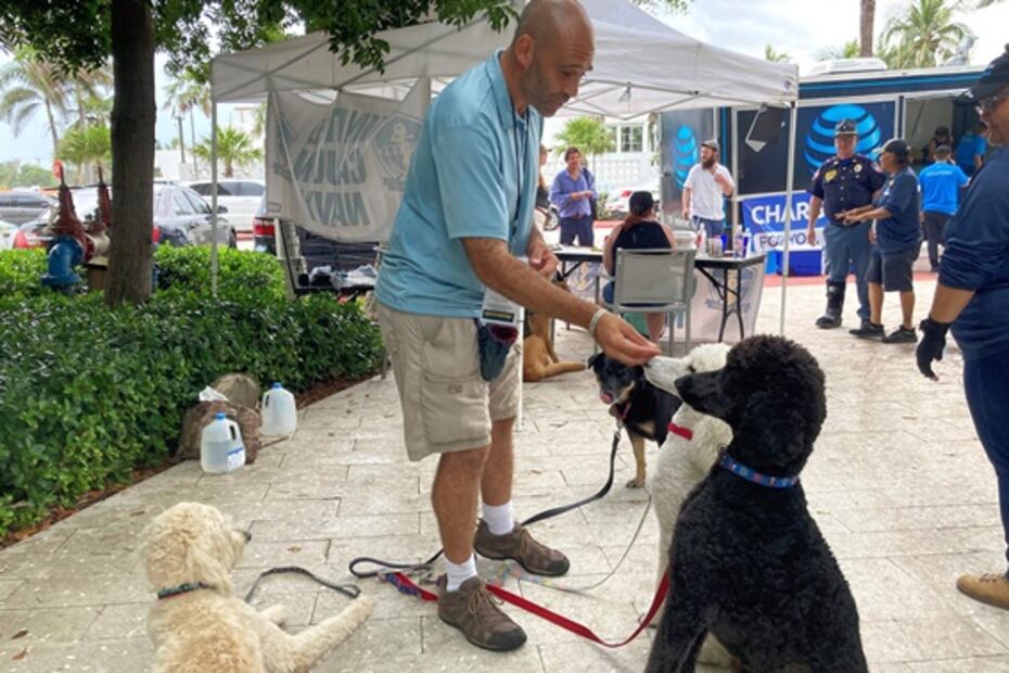 Amor puro: perros de terapia consuelan a los afectados por el derrumbe en Surfside