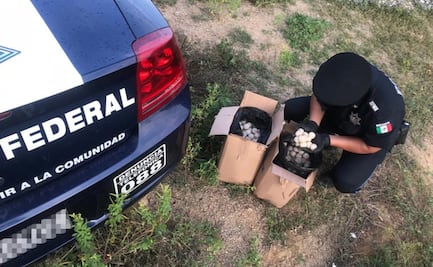 Policía Federal asegura más de mil huevos de tortuga en Oaxaca