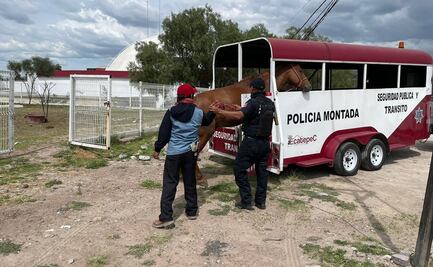 Detienen a carretoneros por tirar basura y maltrato a caballos en Ecatepec