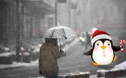 ¡Ni los pingüinos salen! Frente Frío 20 traerá lluvias gélidas, con descargas eléctricas y caída de aguanieve