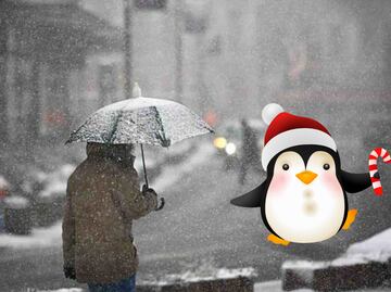 ¡Ni los pingüinos salen! Frente Frío 20 traerá lluvias gélidas, con descargas eléctricas y caída de aguanieve