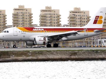 Bandada de pájaros golpea avión; aterriza de emergencia