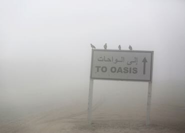 Niebla "devora" a los Emiratos Árabes; retrasa vuelos y causa accidentes