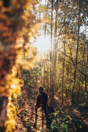 En Oaxaca, lánzate a las cabañas del Bosque de los Duendes y de las Hadas