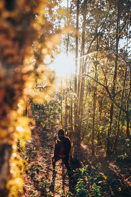 Foto: Cabañas del Bosque de los Duendes y las Hadas (tomada de Facebook)