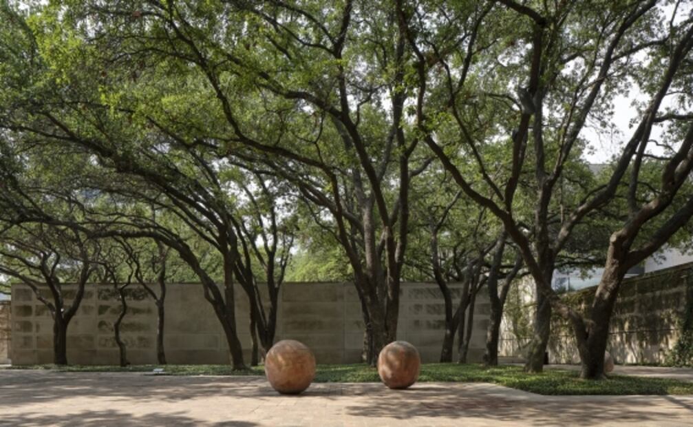 Bosco Sodi, en el Museo de Arte de Dallas