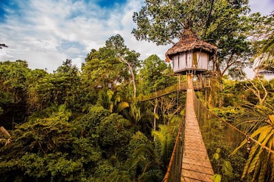 Cuánto cuesta viajar a la Amazonia peruana