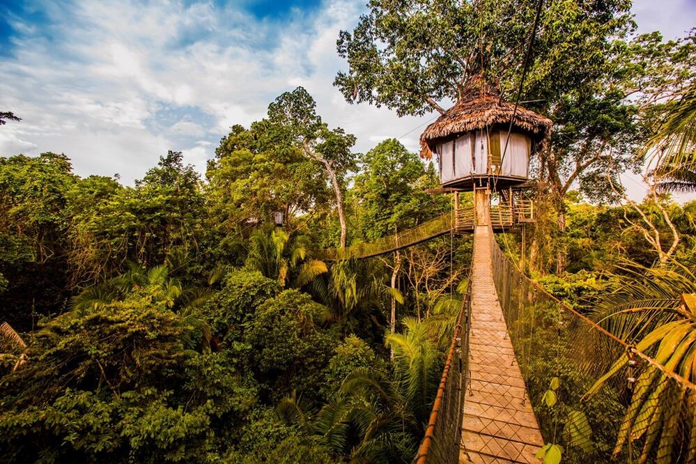 Hospédate en el Treehouse Lodge y observa desde sus terrazas guacamayas y delfines rosados. (Foto: Cortesía Treehouse Lodge)