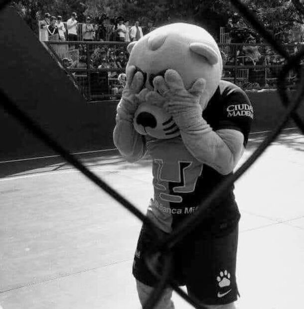 Memes de Gustavo Lema. FOTO: ESPECIAL