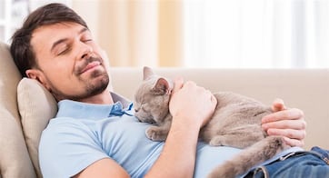 ¿Por qué tu gato duerme encima de ti?; descubre la explicación científica