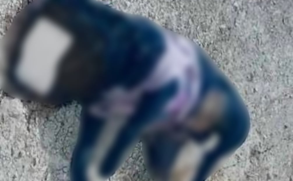 Policías de Juchipila capturan y matan a balazos a perros en situación de calle; animalistas levantan la voz.
Foto: Especial.