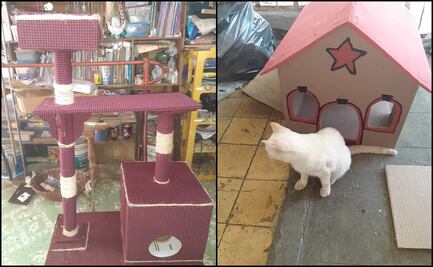 Por Covid-19, escenógrafo sonorense ahora elabora casas para mascotas