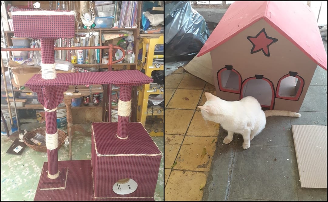 Fotos: Cortesía del entrevistado