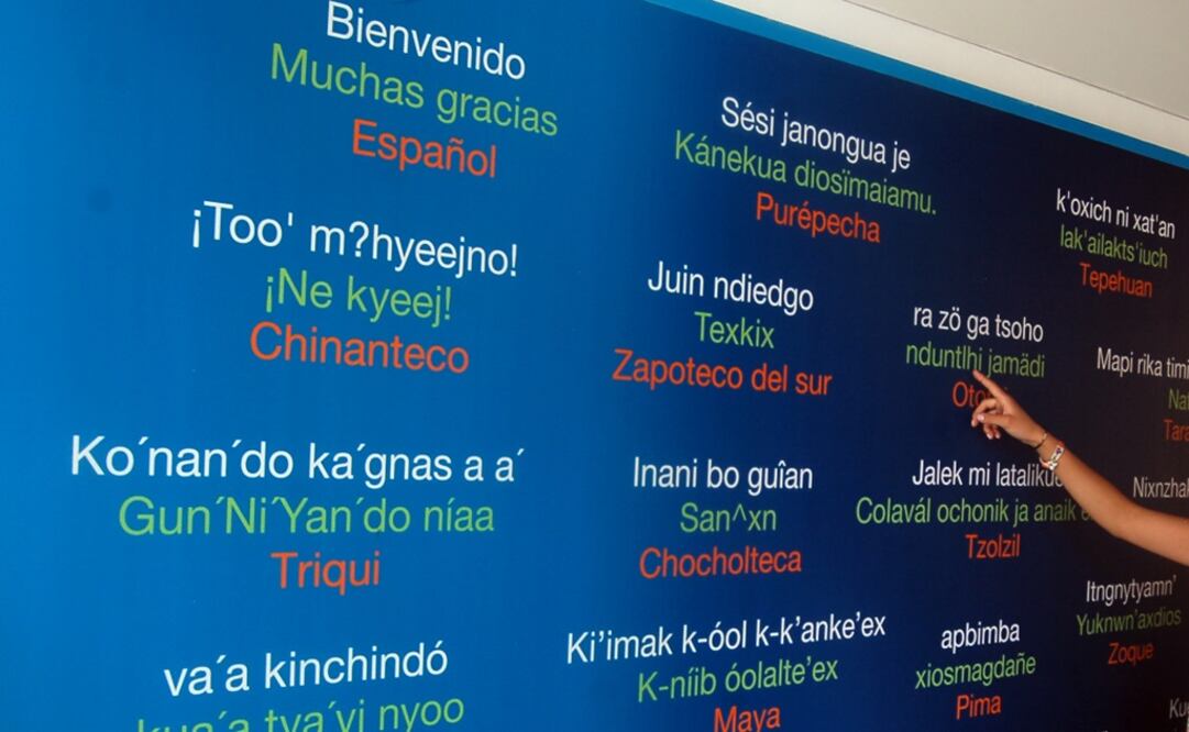 Different indigenous languages showcased in an exhibition at the National Indigenous Languages Institute – Photo: EFE