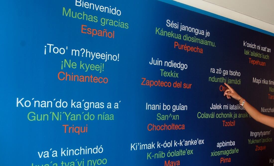 Different indigenous languages showcased in an exhibition at the National Indigenous Languages Institute – Photo: EFE