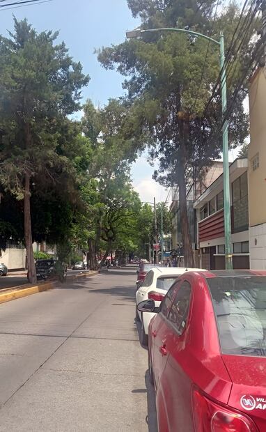 Cuando hay ratos libres en las tardes o en las noches, es común ver grupos de estudiantes por esta zona, camino a los negocios de comida rápida sobre Eje 10, ya sea para compartir pizza, sushi o hamburguesas. Foto: Carlos Hernández.